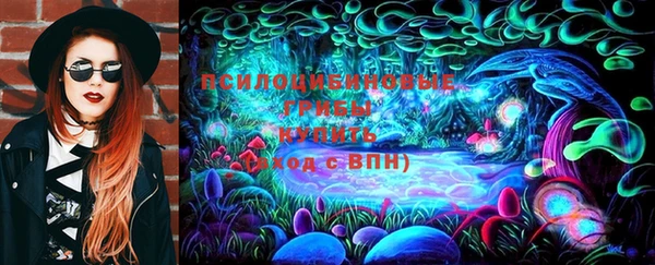 дмт Лабытнанги