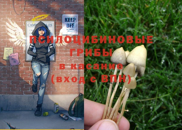 шишки Краснослободск