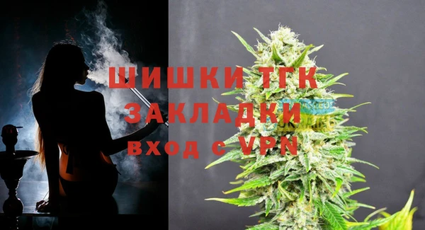 шишки Краснослободск