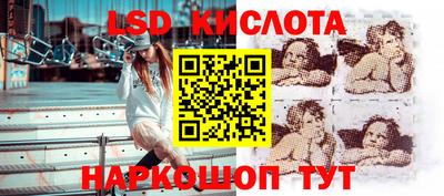 стафф Гай