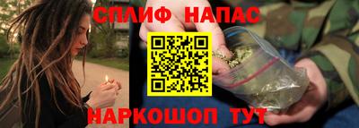 стафф Гай