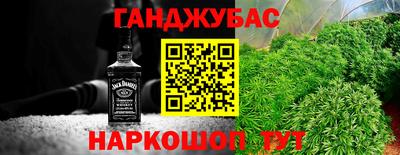 стафф Гай
