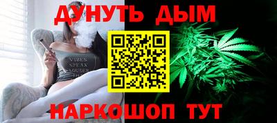 стафф Гай