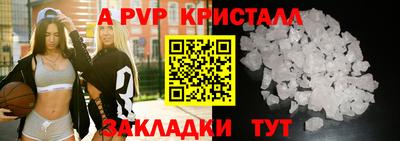 стафф Гай