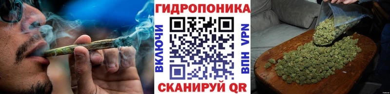 Бошки марихуана THC 21%  Людиново 